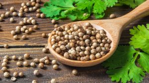 coriander seeds in spoon