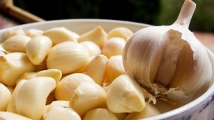 https://www.tastingtable.com/1580251/rubber-glove-trick-peel-garlic/