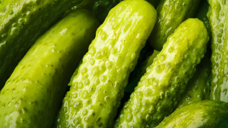 pile of pickles