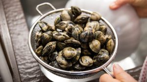 Clams being cleaned