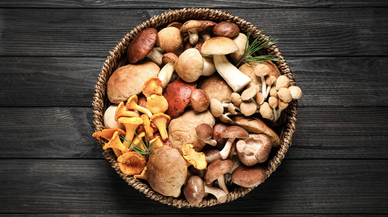 Variety of mushrooms in basket